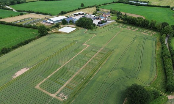 Farm and crops showing plot demonstrations.